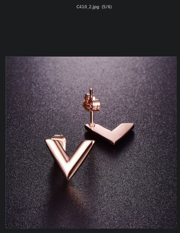 Beautiful Earring with Unique Style