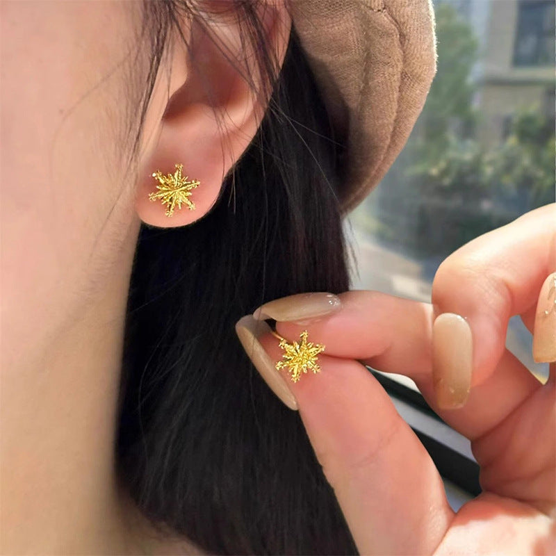 Beautiful Earring with Unique Style