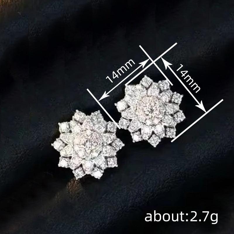 Beautiful Earring with Unique Style