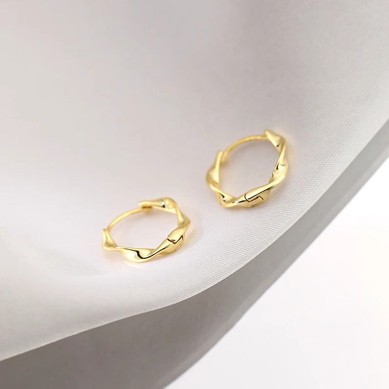 Charming Earring for Any Occasion