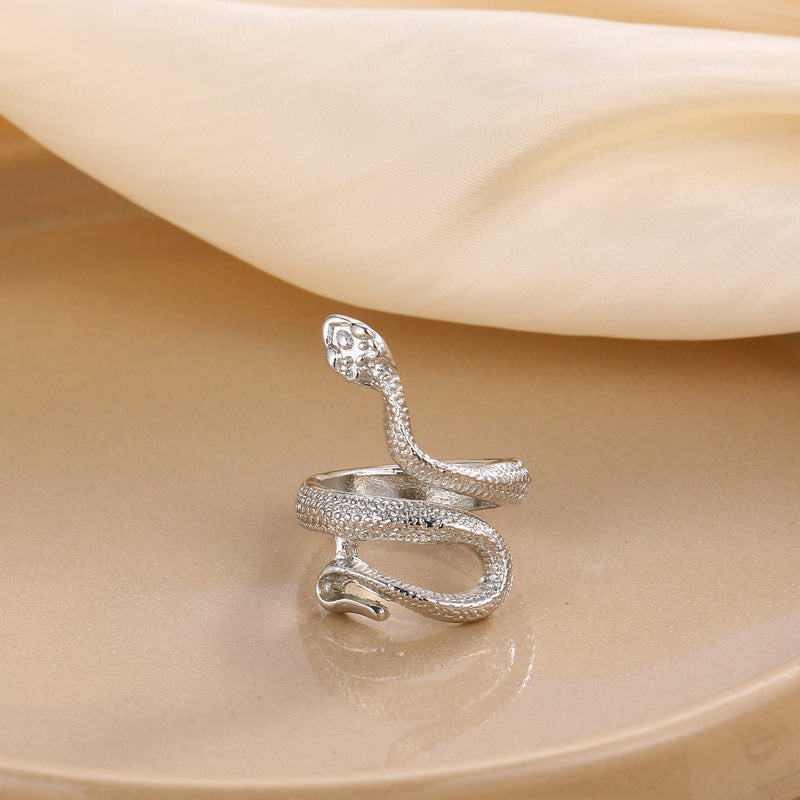 Classic Silver Ring with Timeless Appeal