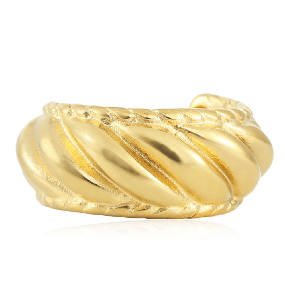 Charming Gold Earring for Any Occasion