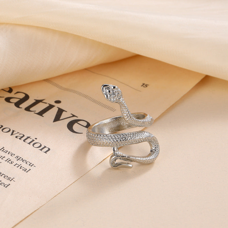 Classic Silver Ring with Timeless Appeal