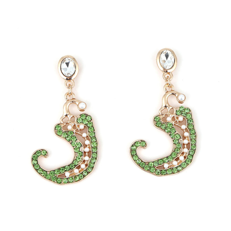 Beautiful Earring with Unique Style