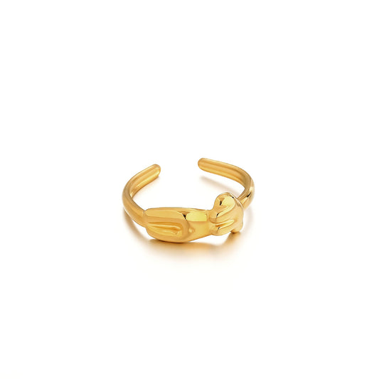 Charming Gold Ring for Any Occasion
