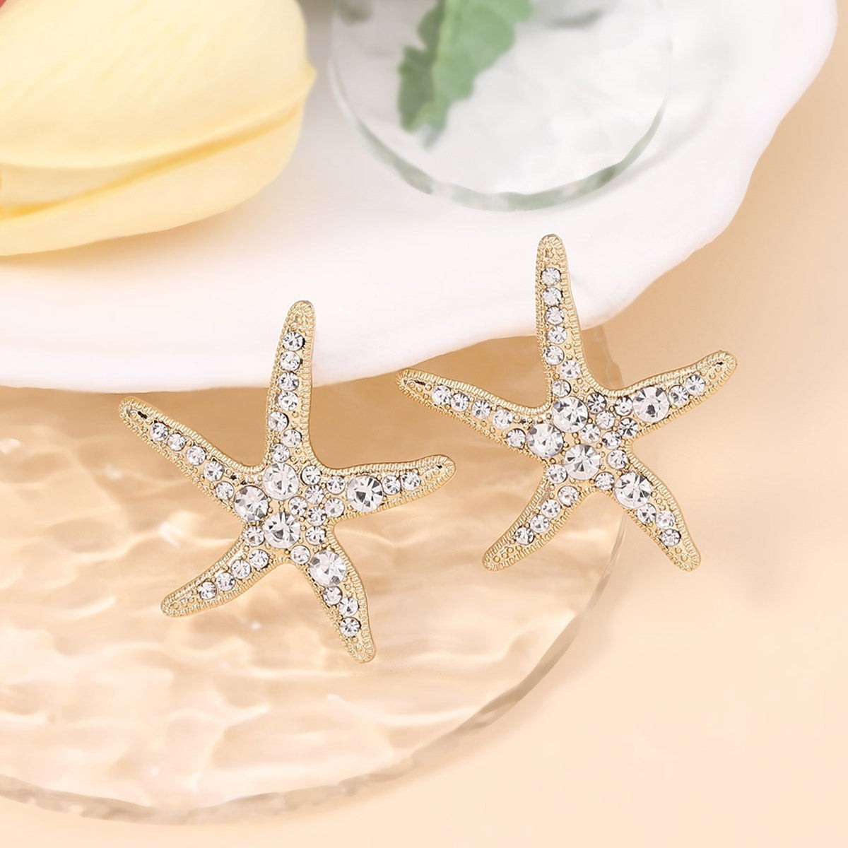 Beautiful Earring with Unique Style