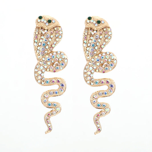 Charming Earring for Any Occasion