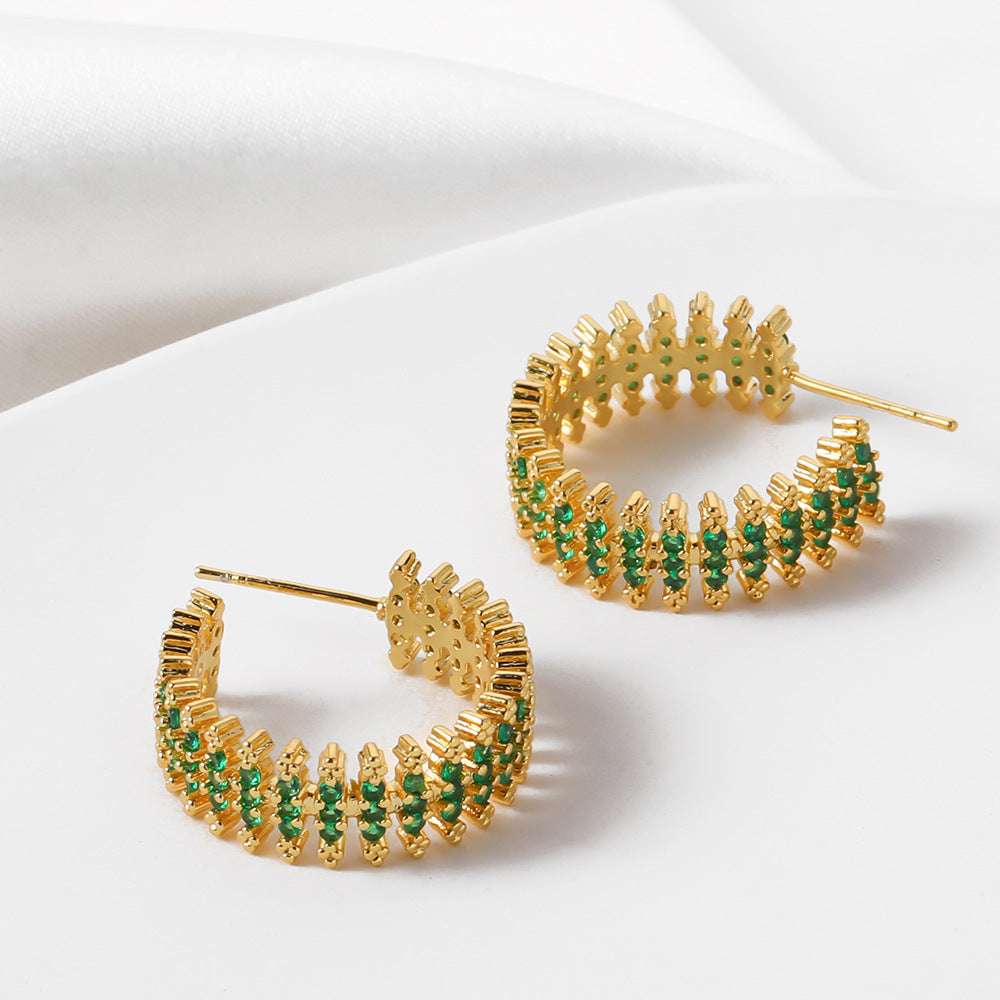 Beautiful Earring with Unique Style
