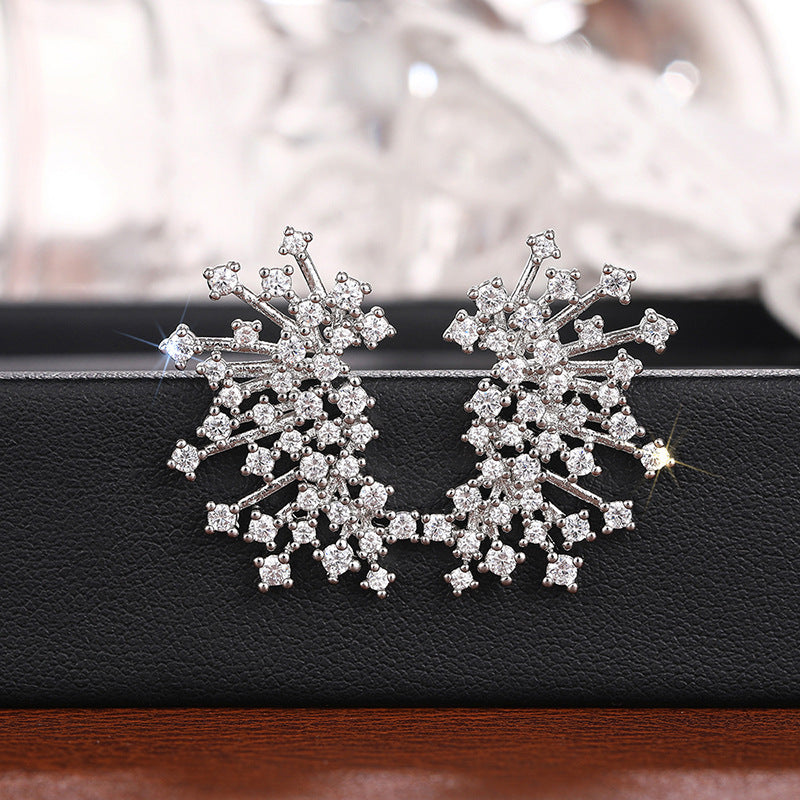 Beautiful Earring with Unique Style