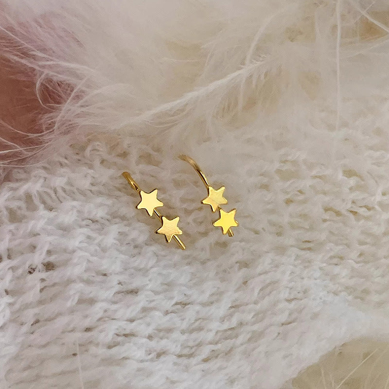 Beautiful Earring with Unique Style