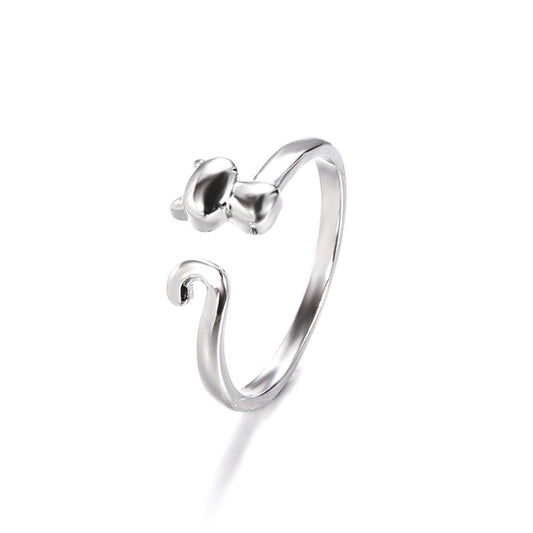 Charming Silver Ring for Any Occasion