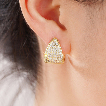 Beautiful Earring with Unique Style