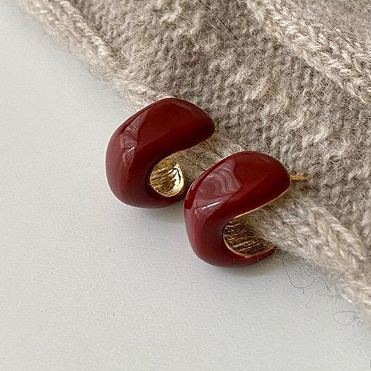 Stunning Earring for Daily Wear