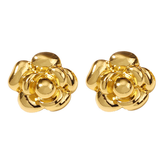 Charming Earring for Any Occasion