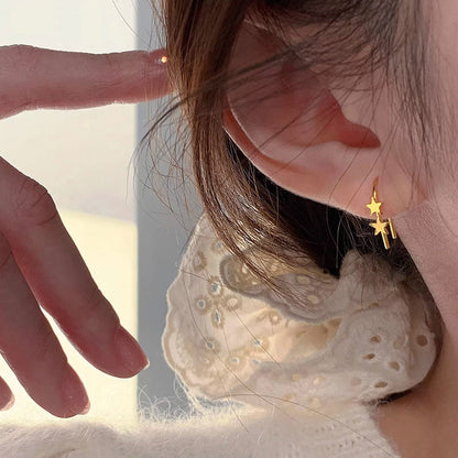 Beautiful Earring with Unique Style