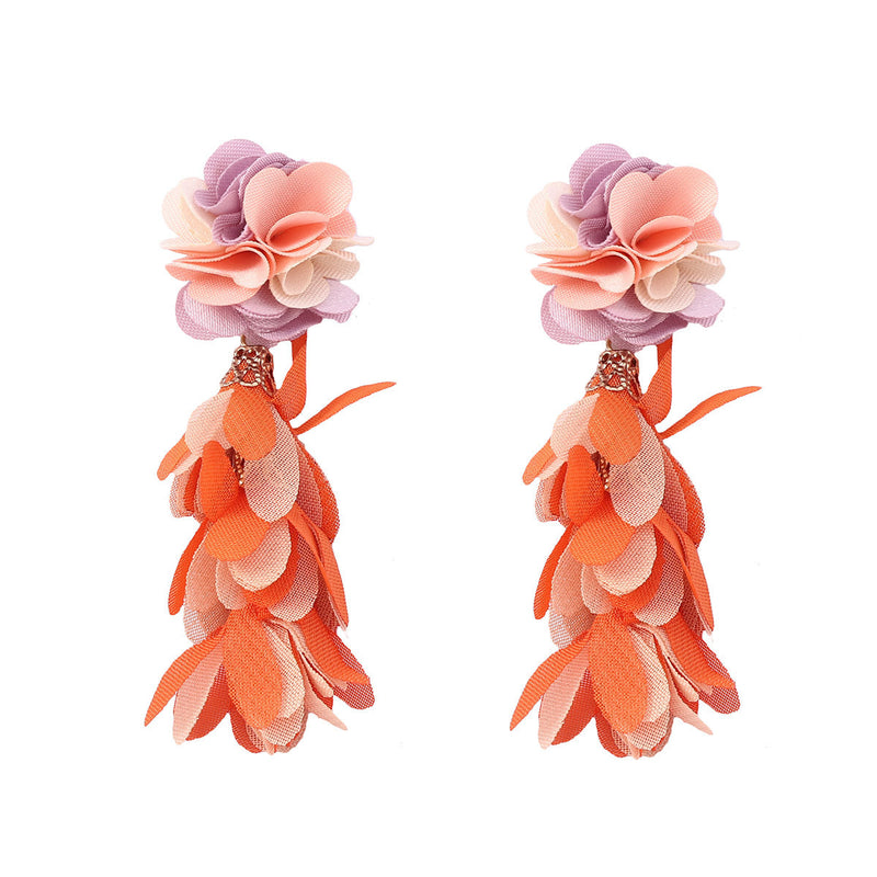 Beautiful Earring with Unique Style