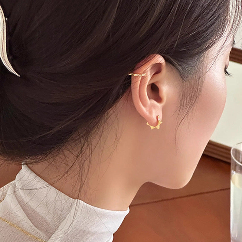 Beautiful Earring with Unique Style