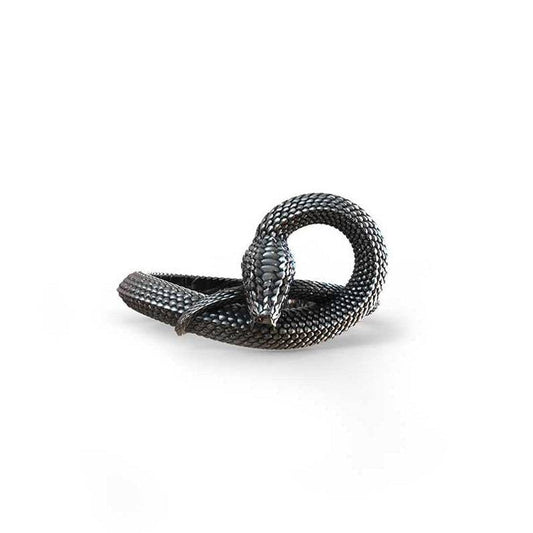 Elegant Silver Ring for Every Occasion