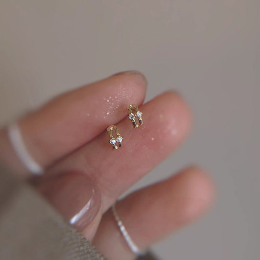 Charming Earring for Any Occasion