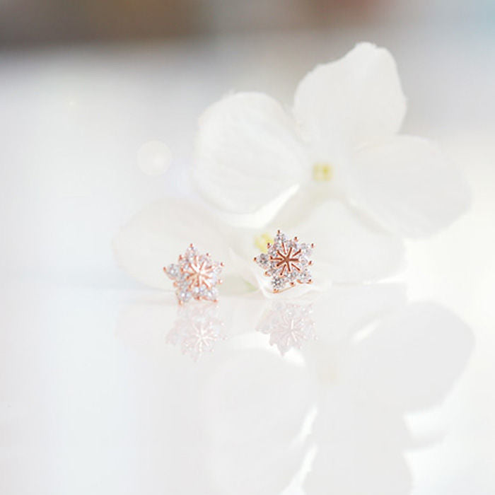 Beautiful Earring with Unique Style