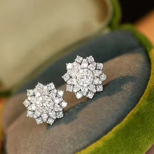 Charming Earring for Any Occasion
