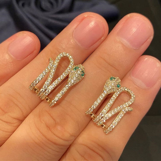Charming Earring for Any Occasion