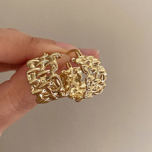 Stunning Earring for Daily Wear