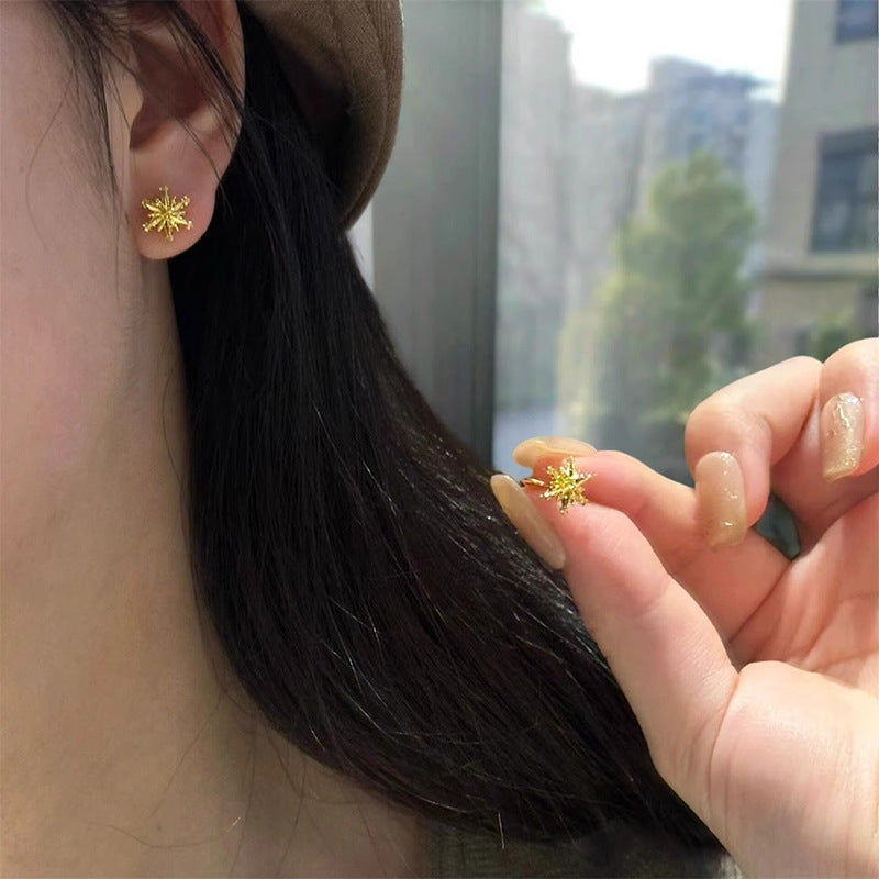 Beautiful Earring with Unique Style