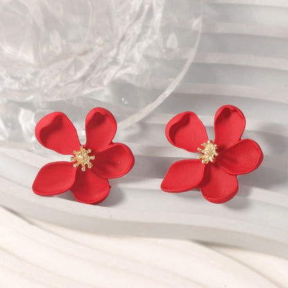 Beautiful Earring with Unique Style