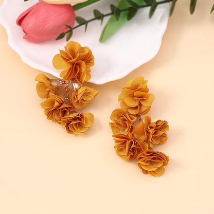 Charming Earring for Any Occasion