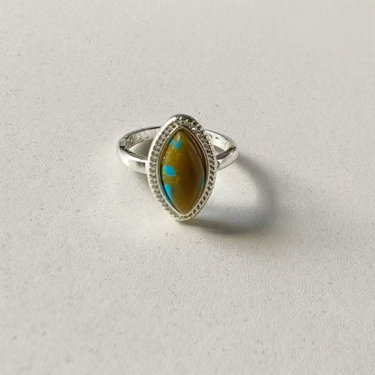 Classic Ring with Timeless Appeal