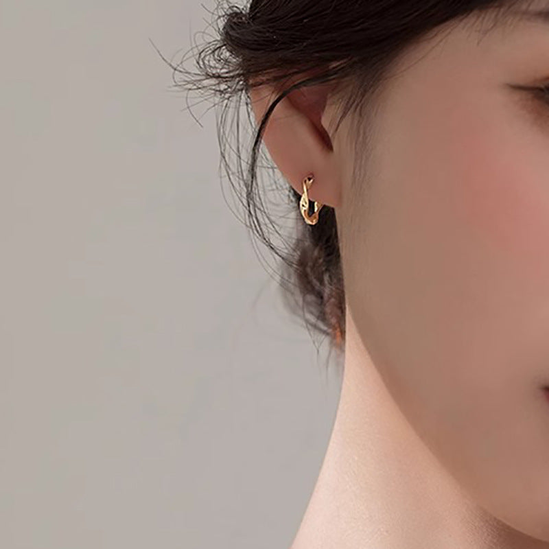 Charming Earring for Any Occasion