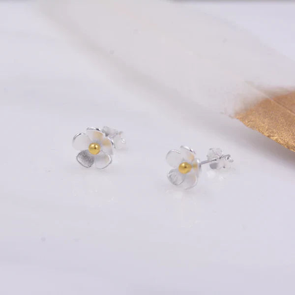 Charming Silver Earring for Any Occasion