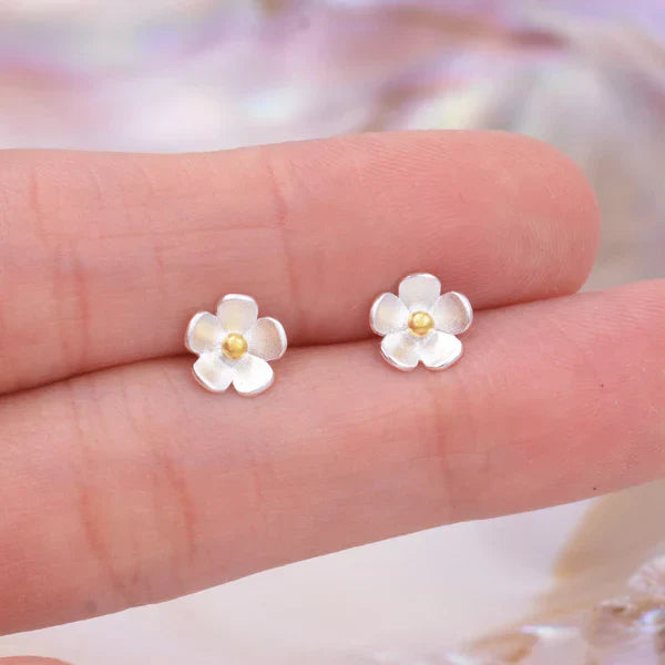 Charming Silver Earring for Any Occasion