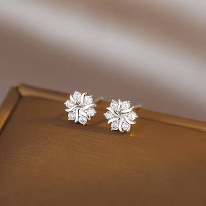 Charming Earring for Any Occasion