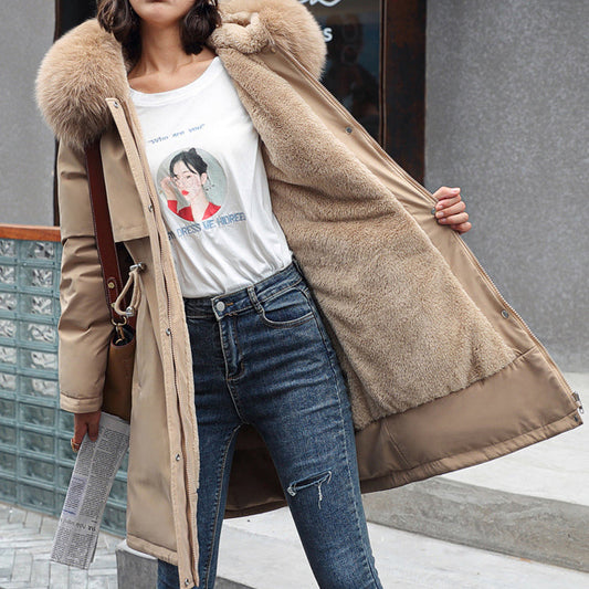 Elegantly Designed Jacket